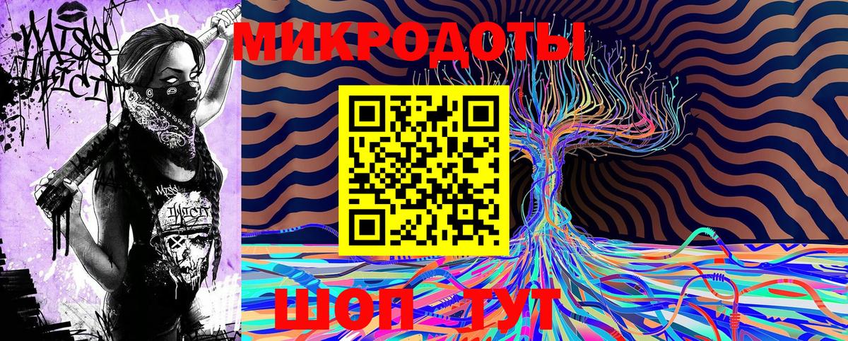 Галлюциногенные грибы Psilocybine cubensis Бузулук
